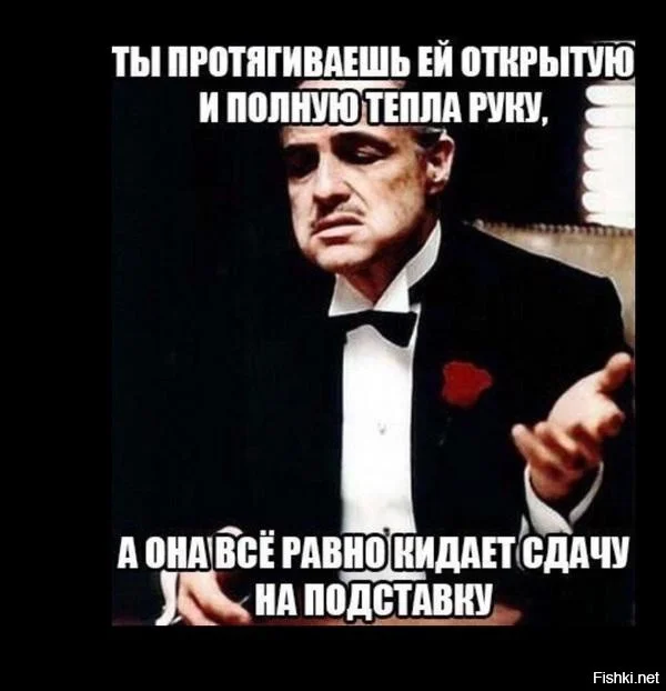 8dd28804782943b59a0ae0d6c2dddb3b.webp