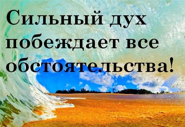 8de4862bc6ac.webp