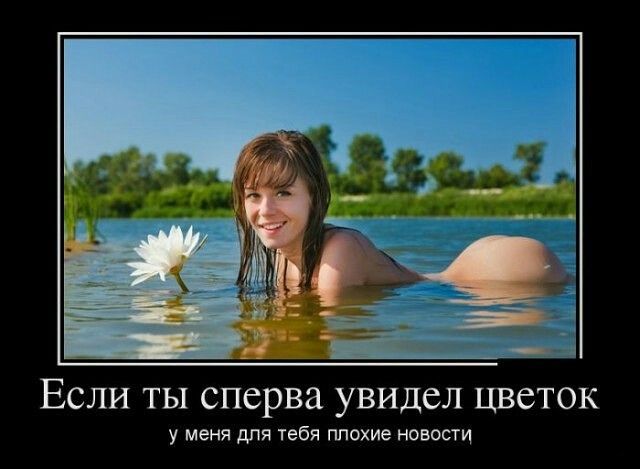 8df0fe0197c65b0cc7580bb13f8be5a6.jpg