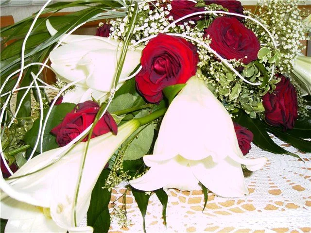 8e0d09a22e50 bLUMEN.webp