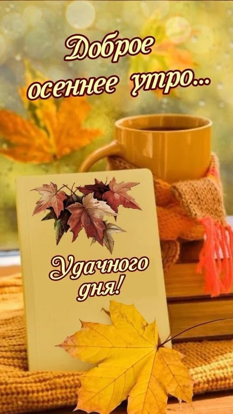 8e5f093c2793f5126bed882ee7a16cf9.webp
