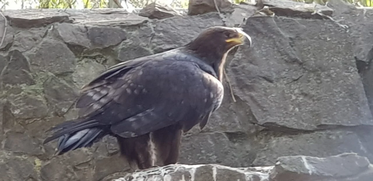 8e93c8e8-f823-4b00-8109-b18fb885816c (1).webp