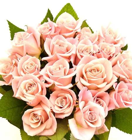 8marta.webp