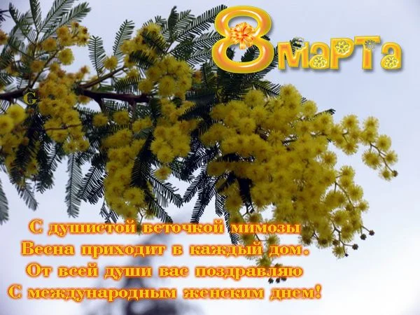 8марта.webp