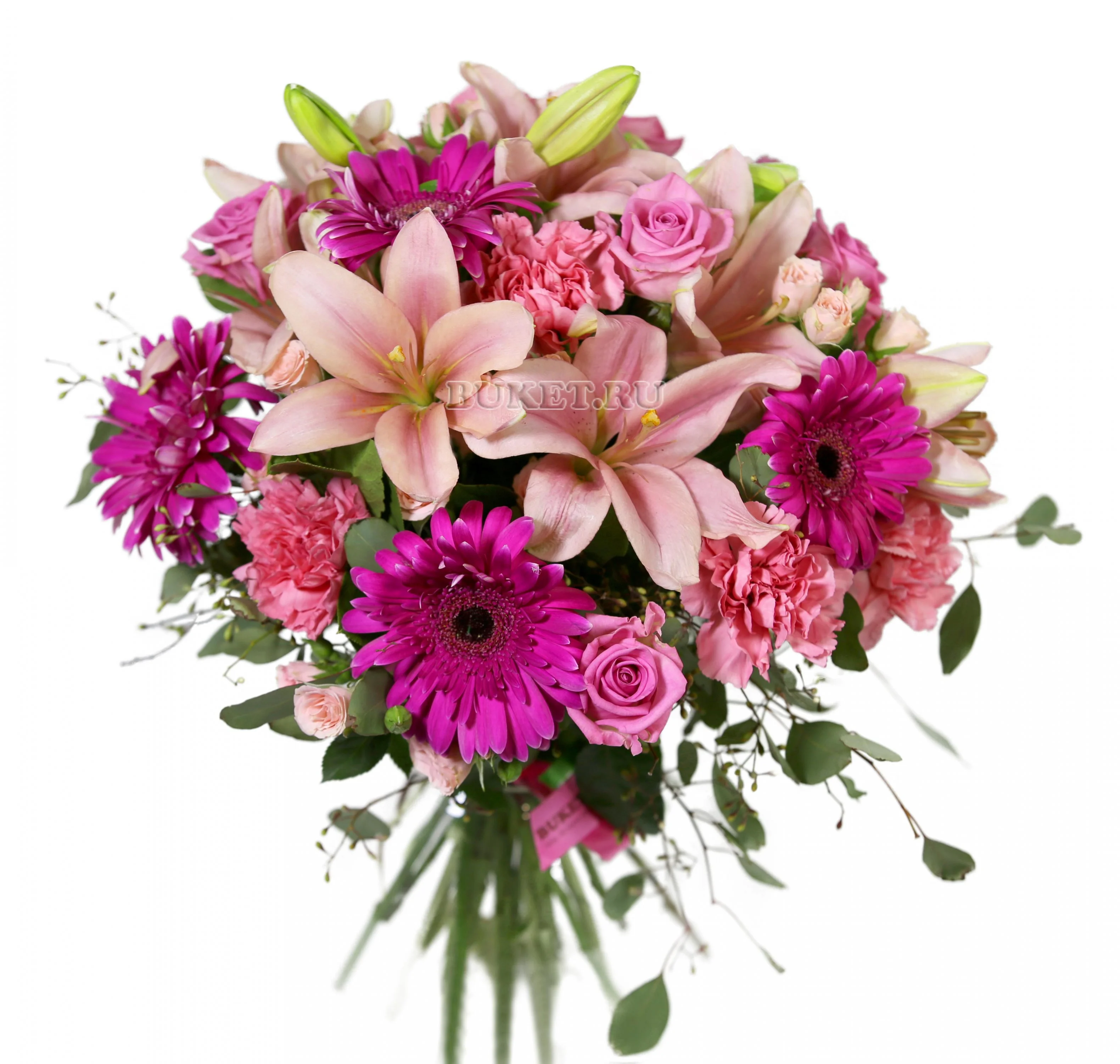 8O9B9045_mini(1).webp