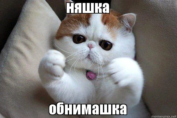 8suhjq.webp