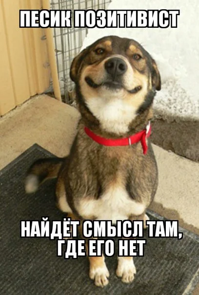 8xhB18mjrV8.webp