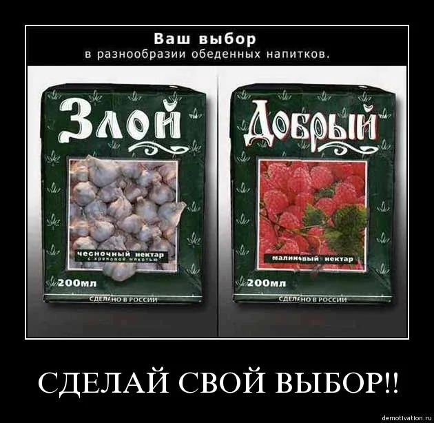 8zixqa2vxmmq.webp