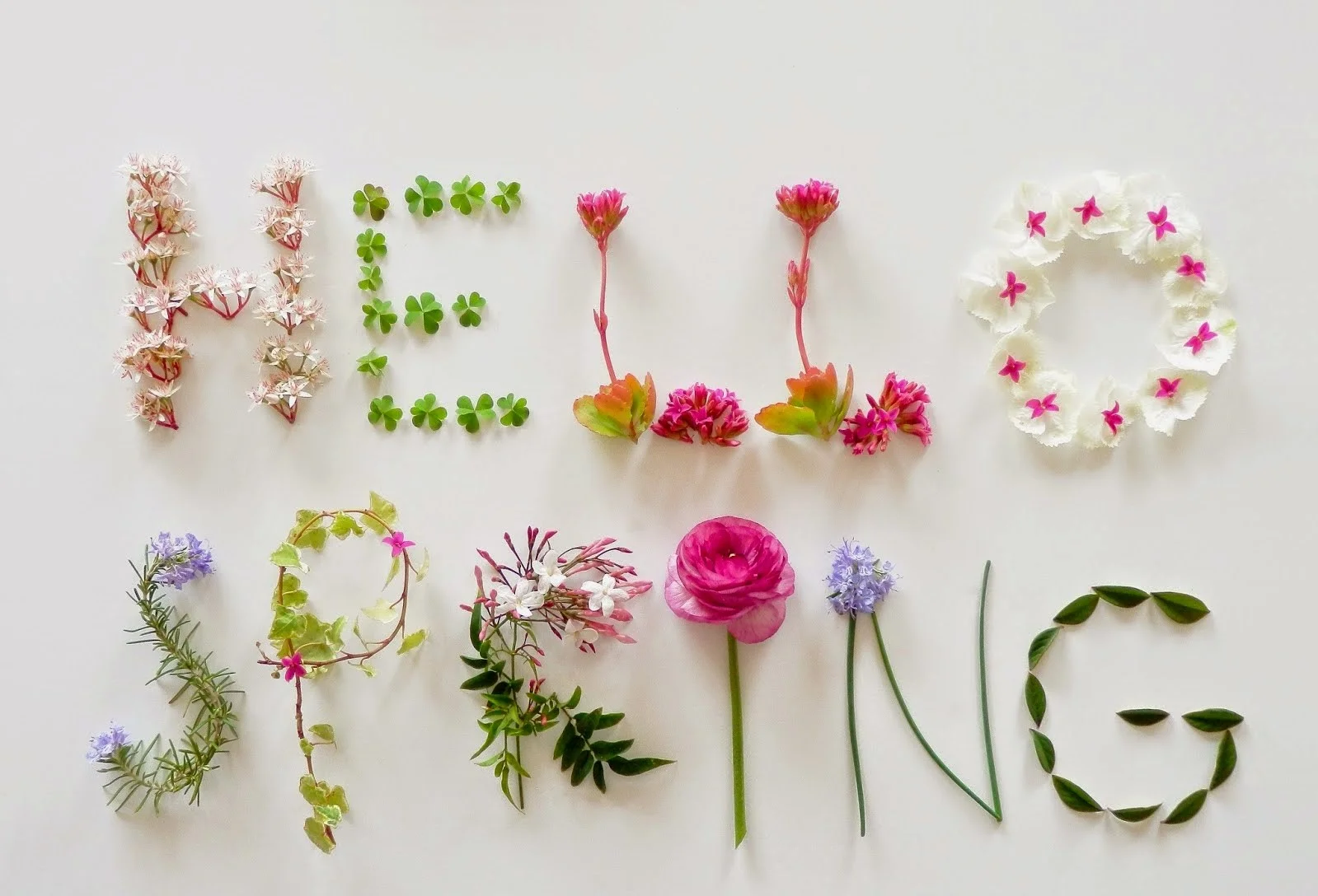 9-Hello Spring_ouiouiouistudio.webp