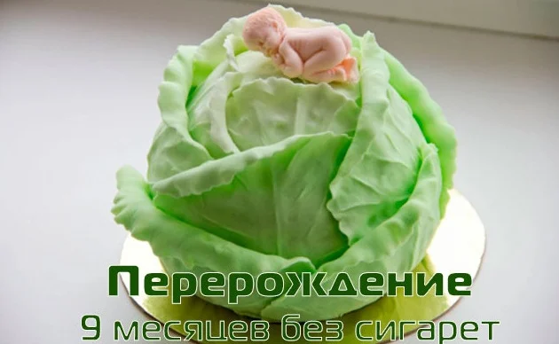 9 месяцев.webp