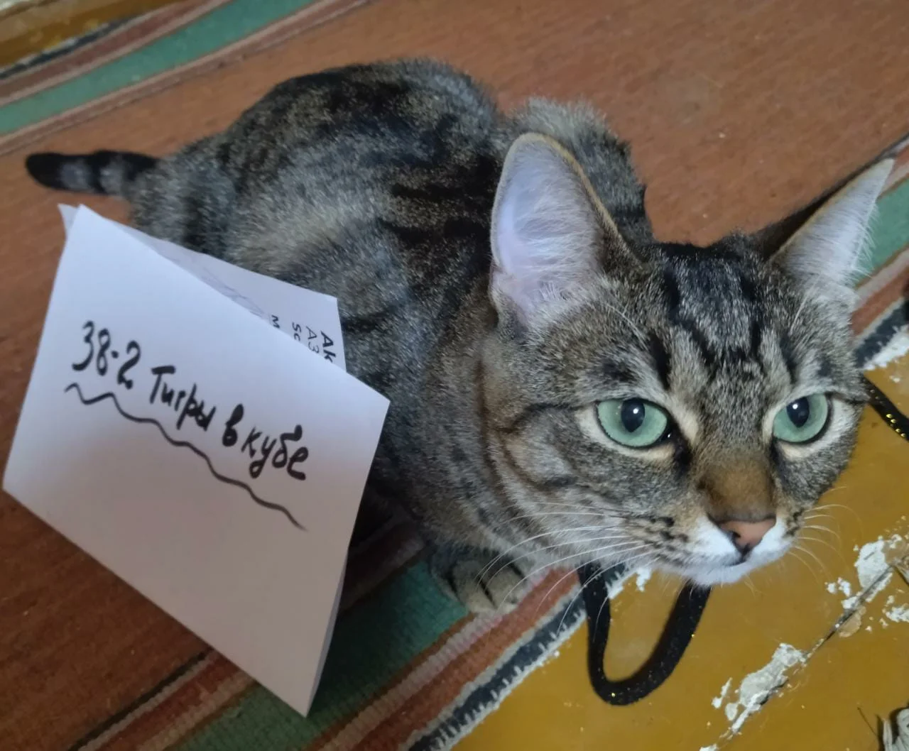 9 ТЕПЛОТА.webp