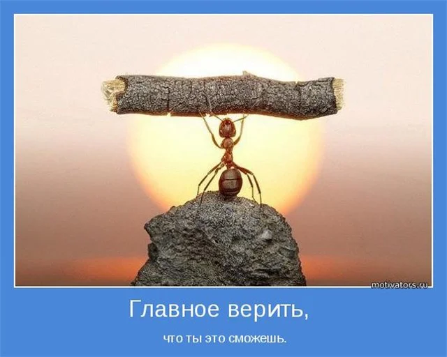 9068114e6bc4.webp