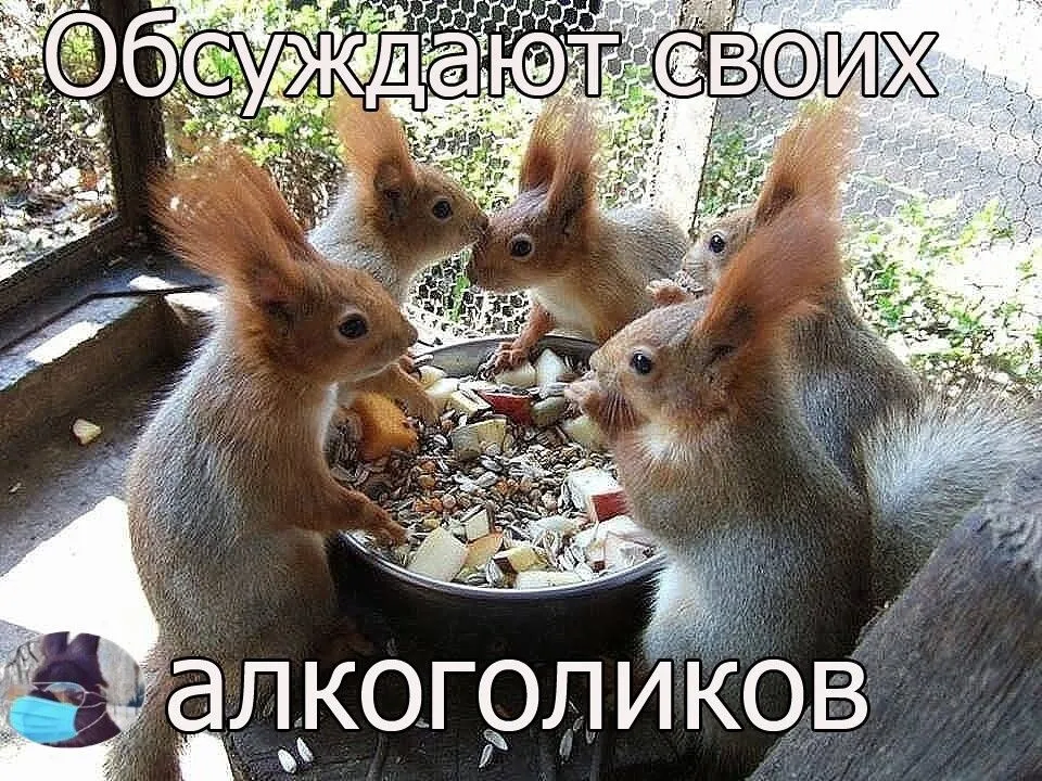 906f4ae2377db7d14187383fa9cb580b.webp
