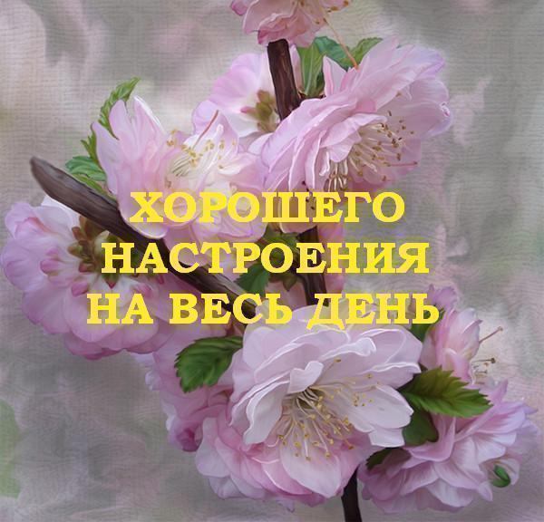 90818384______15754566954525_horoshego_nastroeniya_na_ves_den.jpg