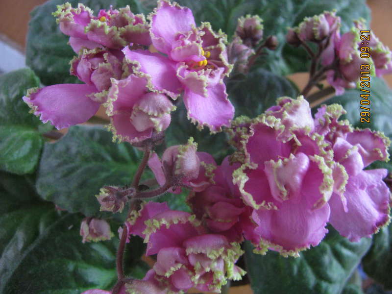 90895736-FD73-4CDE-979B-8A321BE86523.jpeg