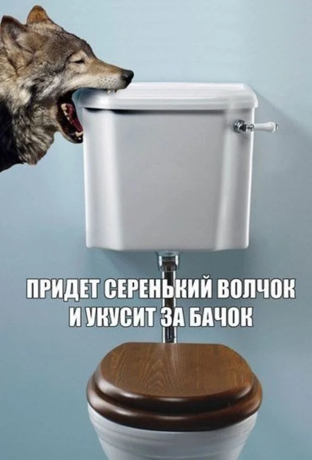 9124221.webp