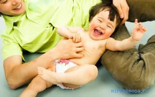 9131.webp