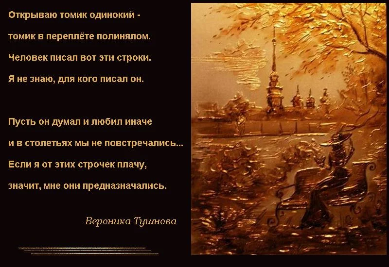 9139.webp