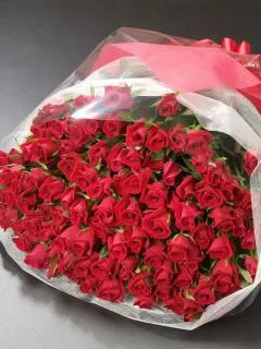 917376-320.webp