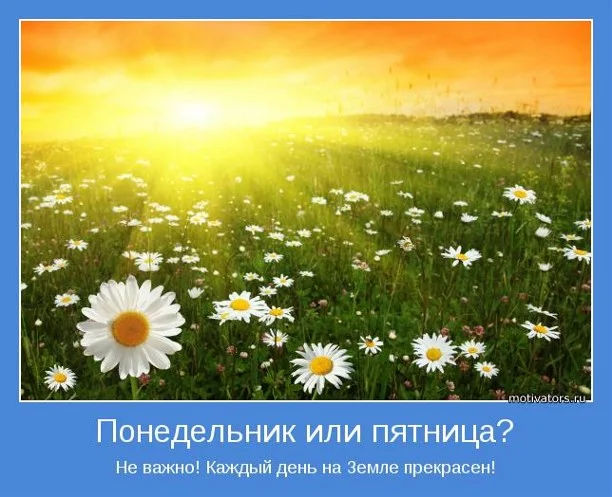 919bd5a8-5445-43fa-9844-794bfe38e062.webp