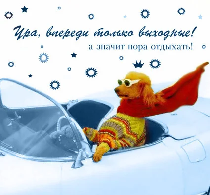 9213301.webp
