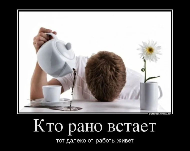 92139620_kto-rano-vstaet.webp