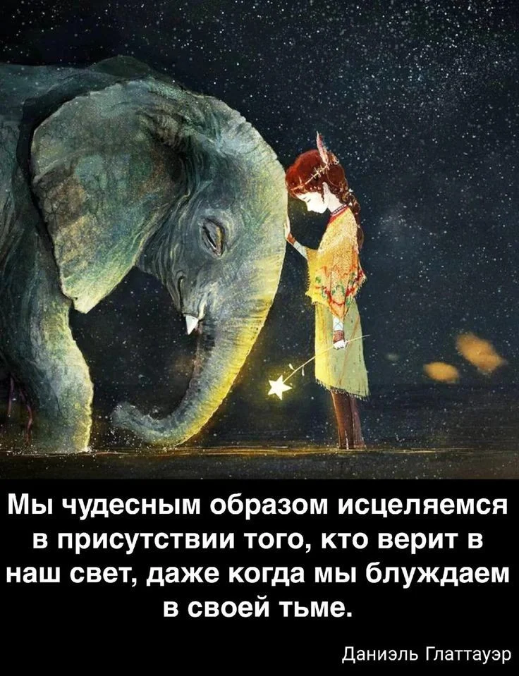 922587223eb03ae9628cbe78aea20949 (1).webp