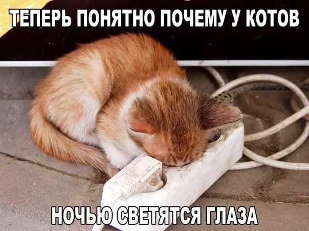 9242932.webp
