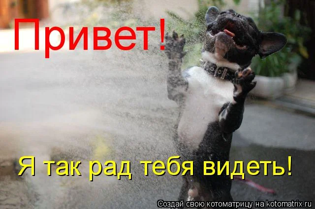 925334.webp