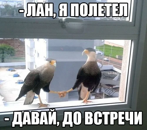 9275584.webp
