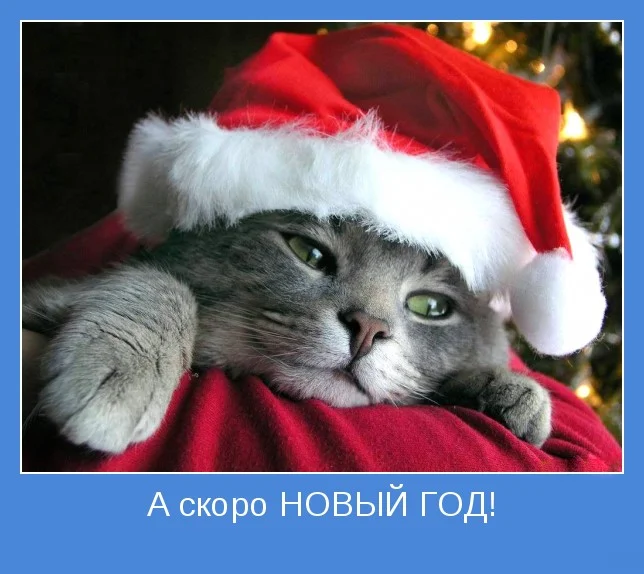 9283.webp
