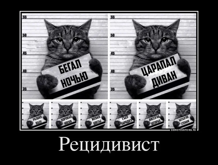 92857098_retsidivist.webp