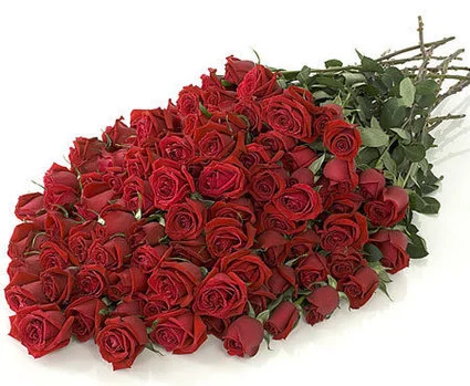 9303135.webp