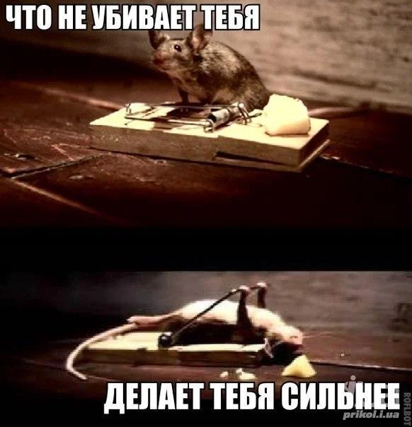 932955.webp