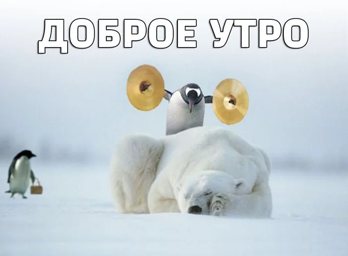 9344621.webp