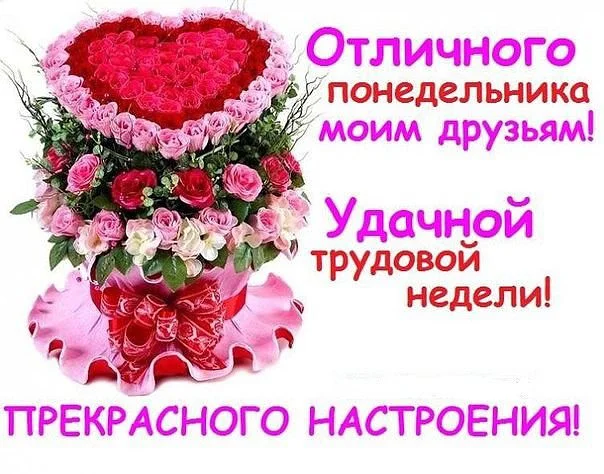 9355643.webp