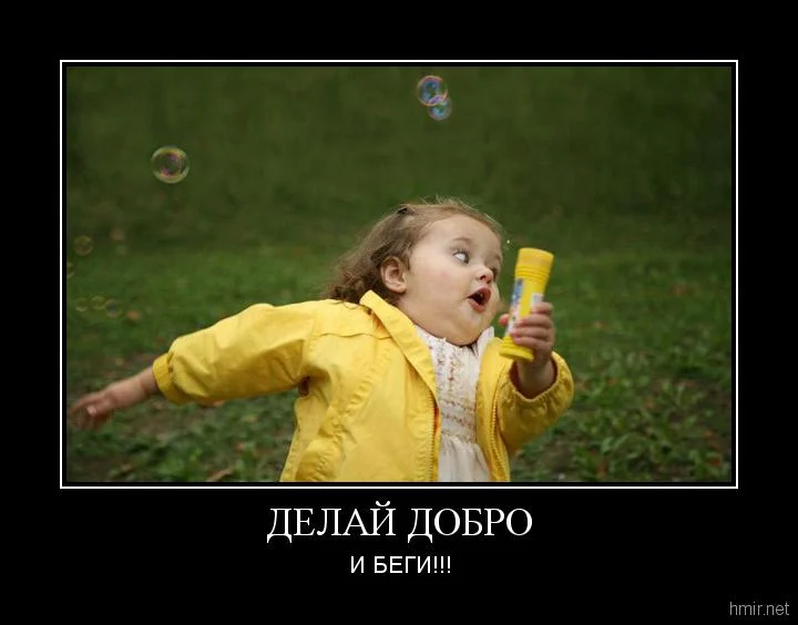9425.webp