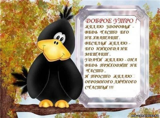 948542940[1].webp
