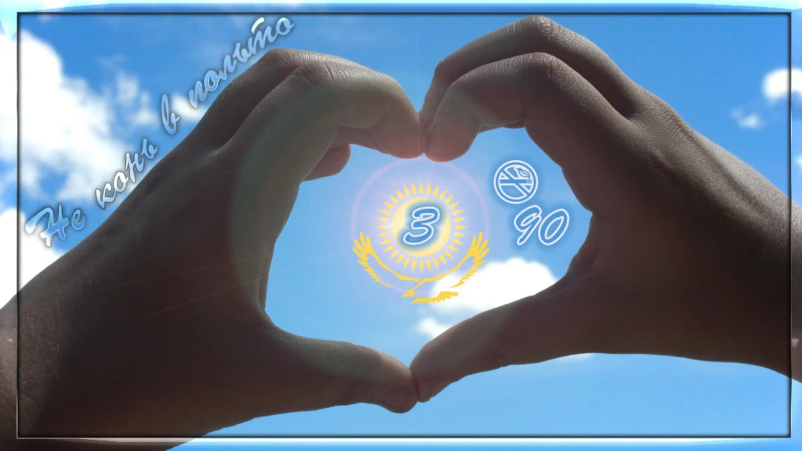 950696.webp