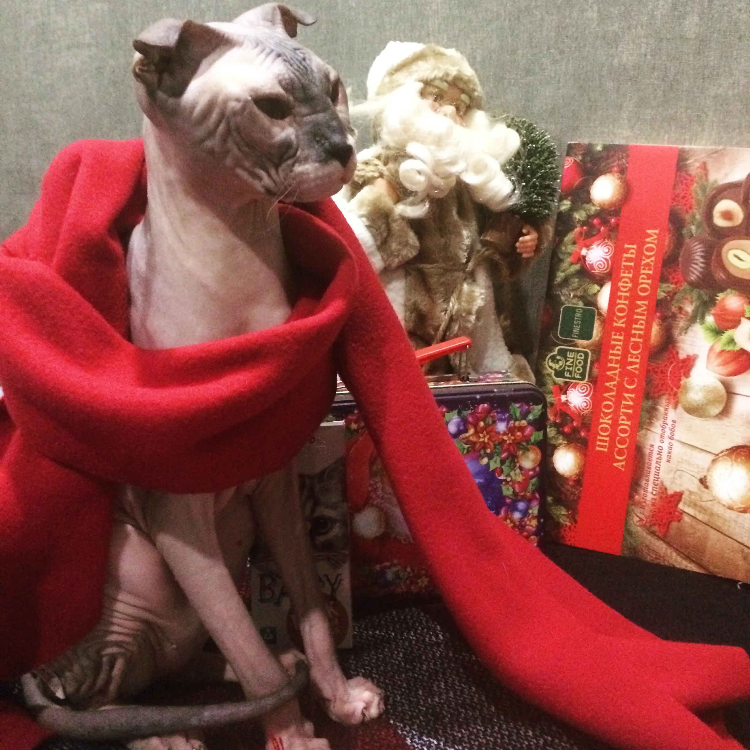 951D0ABE-1330-4F37-99A0-44CA34EE37B3.jpeg (1).webp