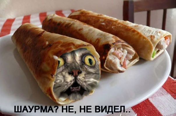 95263659_shaurma_0.webp