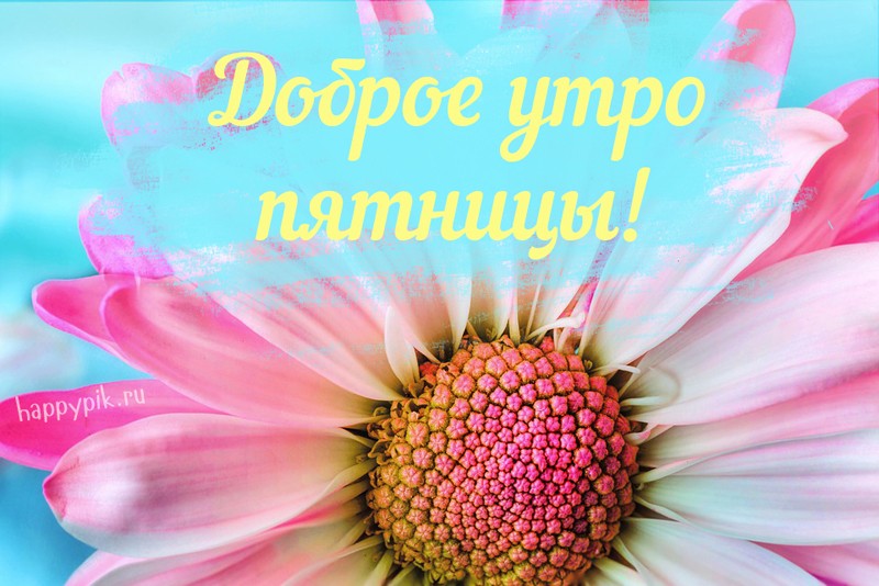 9529A9F3-FD70-4957-A03B-34BCBEB4FE18.jpeg