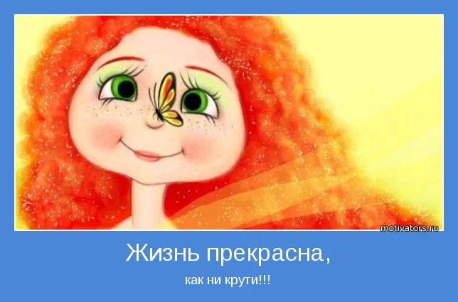 9556.webp