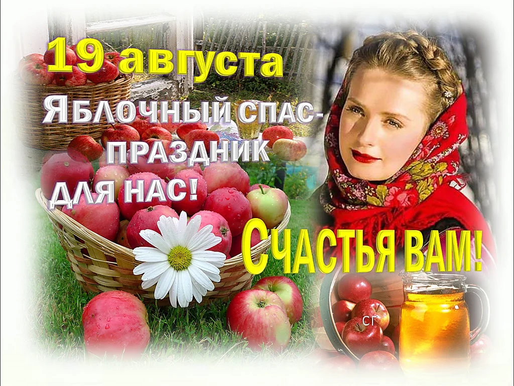 9561008.webp
