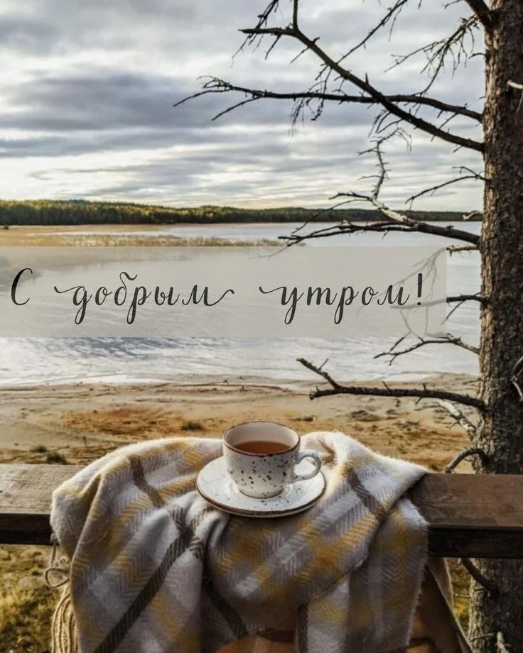 9621dd67cfc986b29ab1a89a3d118577.webp