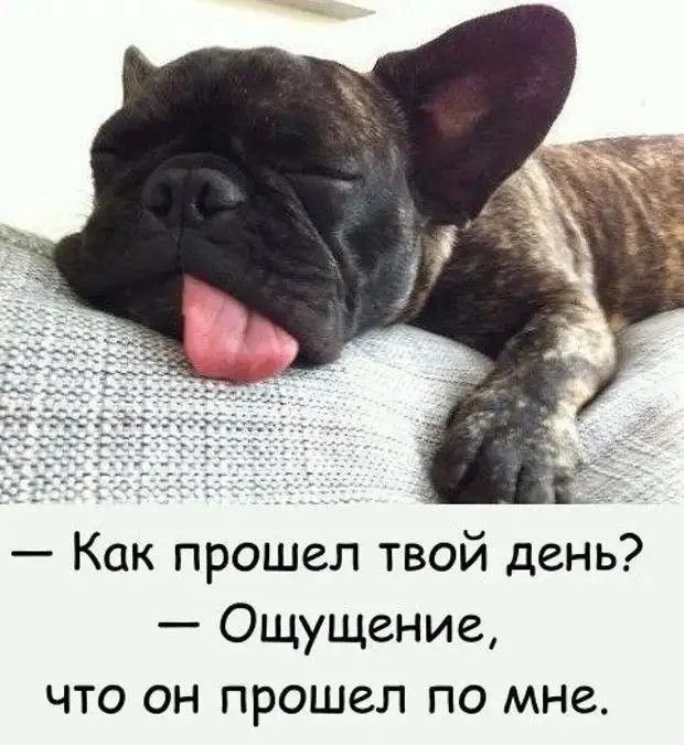 9626d8ac6812f5321d933bcd70e0cc37[1].webp