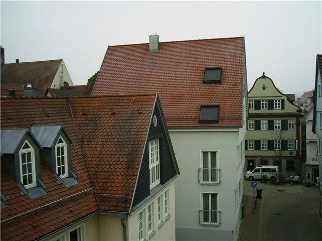 96ee1d4107a3  Dach.webp