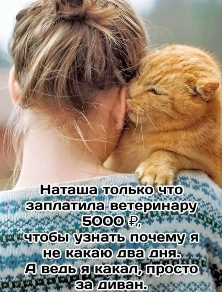 97289dc7d9452e7e15ddeba2571fdbb7 (1).webp