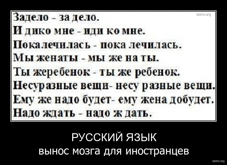 972918-2012.03.30-11.57.09-bomz.org-demotivator_russkiyi_yaziyk_viynos_mozga_dlya_inostrancev.jpg