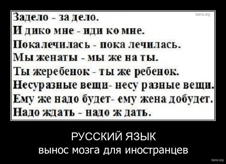 972918-2012.03.30-11.57.09-bomz.org-demotivator_russkiyi_yaziyk_viynos_mozga_dlya_inostrancev.webp